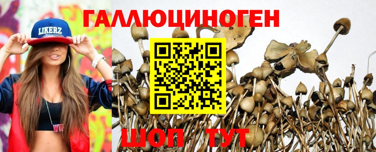 Барнаул  Псилоцибиновые грибы MAGIC MUSHROOMS  Псилоцибиновые грибы Psilocybine cubensis  закладки  Вход с VPN 