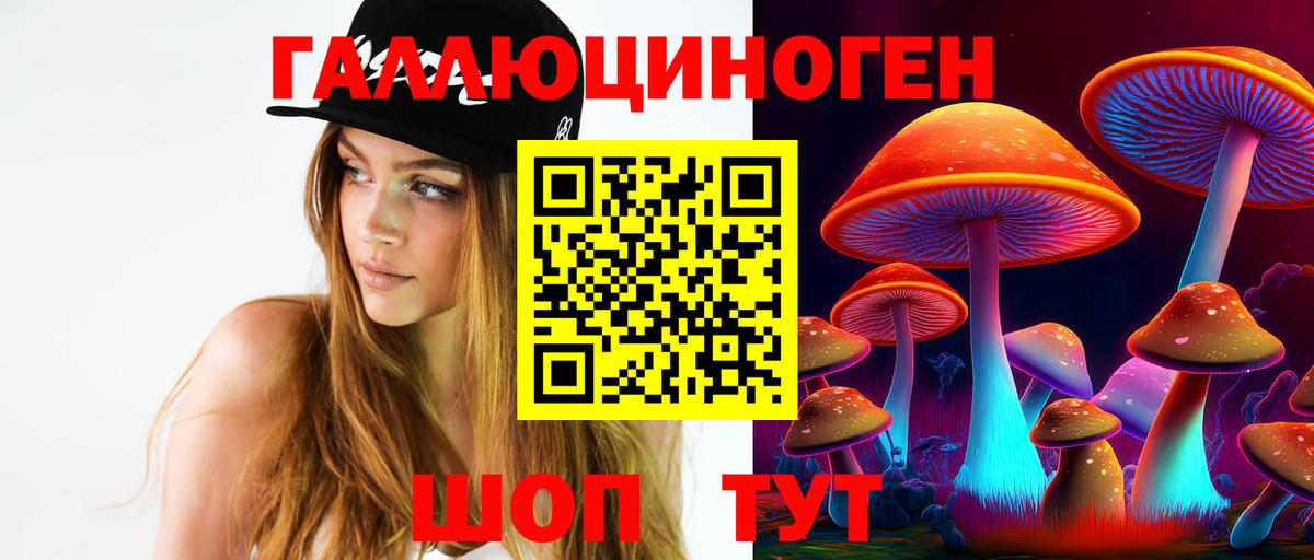 Псилоцибиновые грибы GOLDEN TEACHER Барнаул